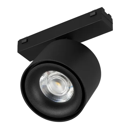 Фото #1 товара Светильник MAG-VIBE-POINT-R75-10W Warm3000 (BK, 24 deg, 48V) (Arlight, IP20 Металл, 5 лет)