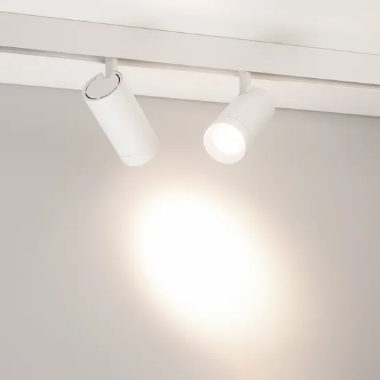 Фото #2 товара Светильник MAG-ORIENT-SPOT-R65-20W Day4000 (WH, 24 deg, 48V, DALI) (Arlight, IP20 Металл, 5 лет)