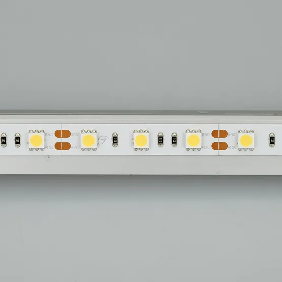 Фото #5 товара Светодиодная лента RT 2-5000 12V White6000 2x (5060, 300 LED, LUX) (Arlight, 14.4 Вт/м, IP20)