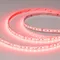 Минифото #2 товара Светодиодная лента RT-A168-10mm 24V RGBW-White (20 W/m, IP20, 5m) (Arlight, высок.эфф.150 лм/Вт)