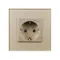 Минифото #2 товара Розетка электрическая с Zigbee управлением SCT-OMALI-EUZB1-PL-GD (240V, 16A, Zigbee) (Arlight, -)